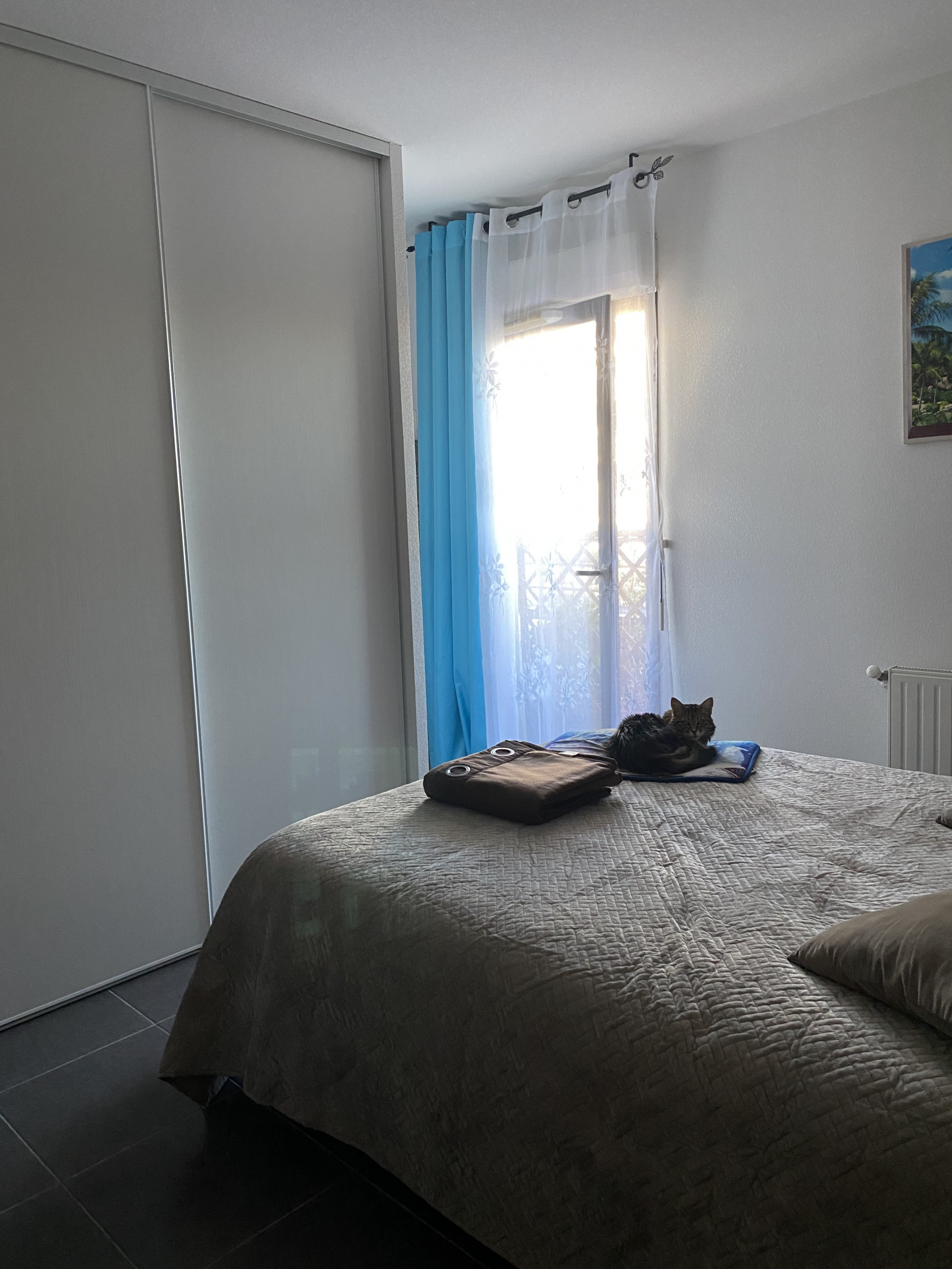 Image_6, Appartement, Perpignan, ref :0564